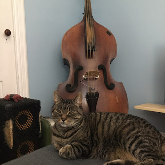 Meet your Posher, Jill - Picture 1 of 1